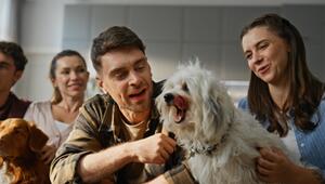 Sprachfähige Hunde: Lernen durch Zuhören