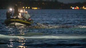 Wal an der Ostseeküste gestrandet