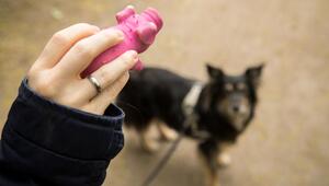 Eine Frau hält ein Hundespielzeg in der Hand