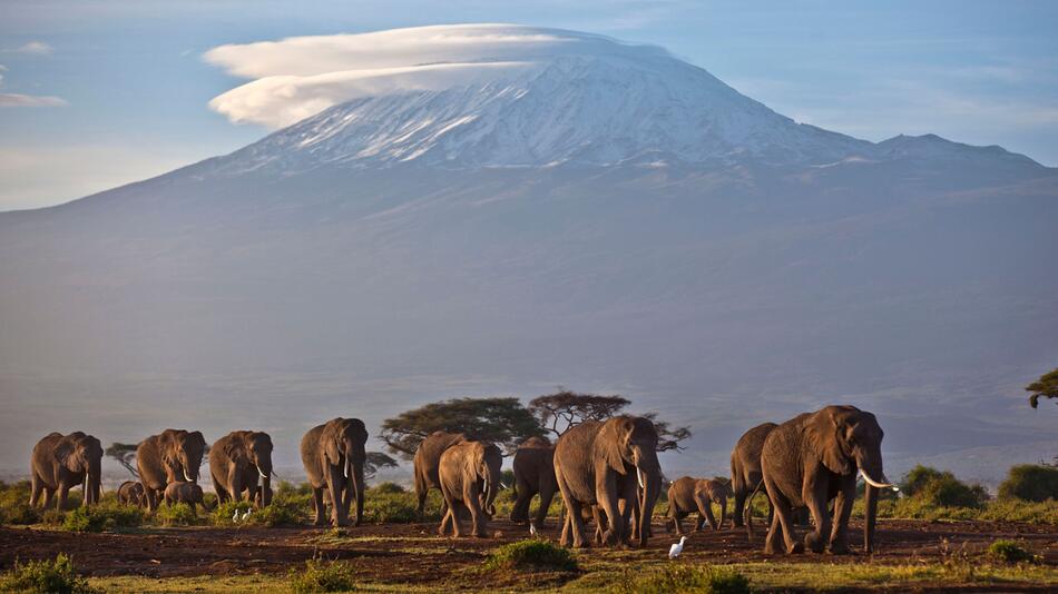 Amboseli-Nationalpark mit dem Kilimandscharo im Hintergrund