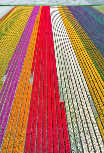 Landschaften, Menschengemacht, Menschliches Eingreifen, Natur, Umwelt