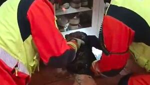Hund im Abfluss gefangen: Feuerwehr in Valencia stemmt Boden auf