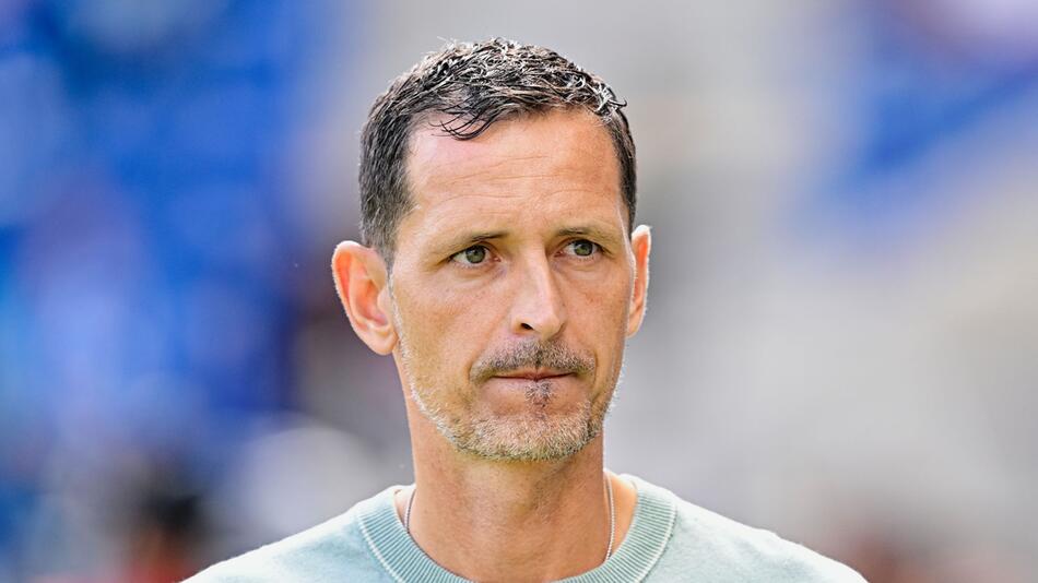 Dino Toppmöller