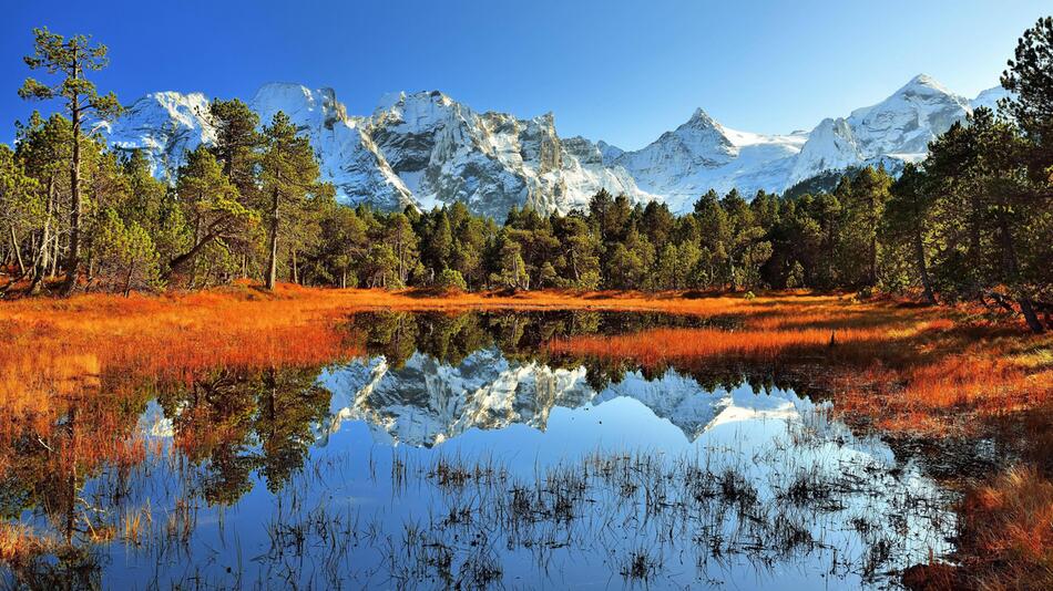 Moor, Wald, Schweiz, Klimakrise