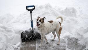 Schneeschippen haufen