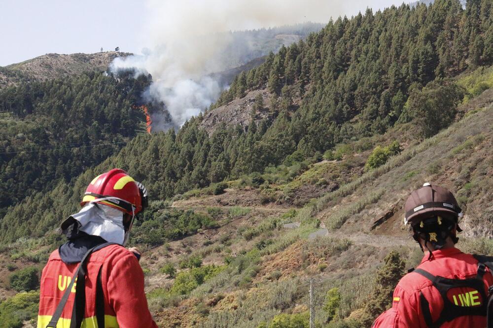 Waldbrand auf Gran Canaria