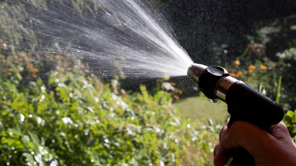 Trockenheit in Deutschland: Darf ich meinen Garten und Balkon noch giessen
