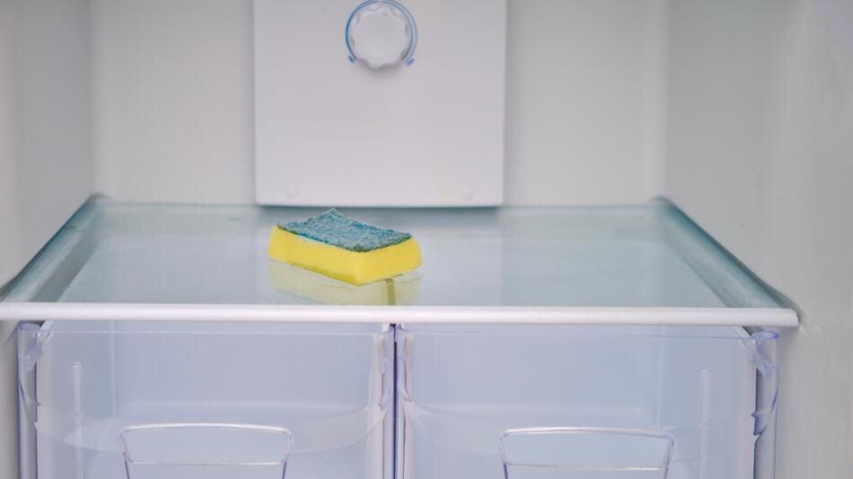 Ein Spülschwamm im Kühlschrank
