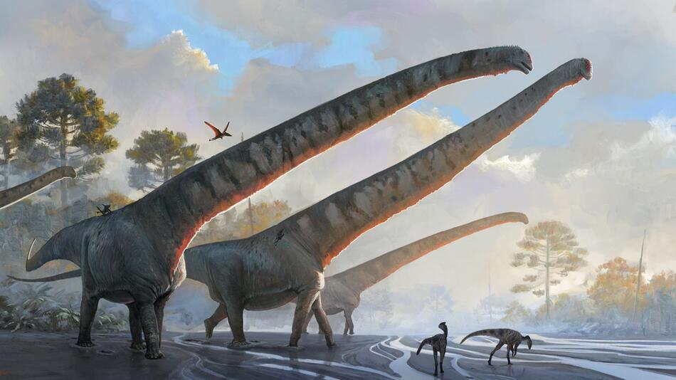 Mamenchisaurus sinocanadorum