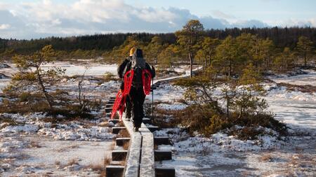 So wild ist Estlands Winter - 7 Inspirationen