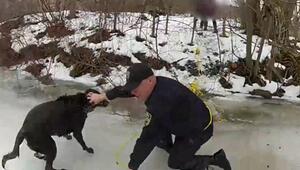 Dramatische Rettung: Hund nach Eisbruch von Staatspolizei gerettet
