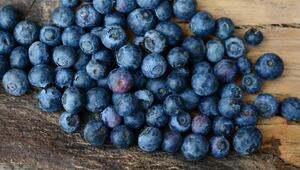 Antioxidantien