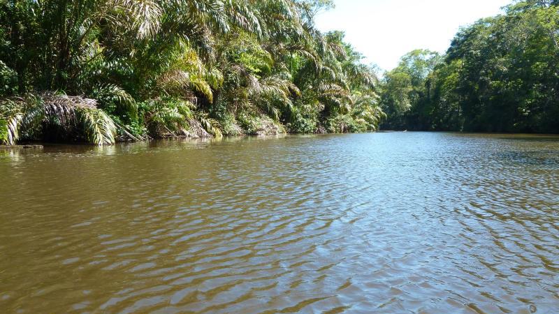 Wasserweg zum Tortuguero-Nationalpark