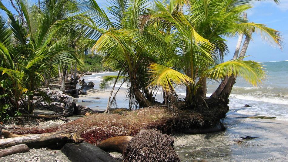 Mutmasslich zwei Deutsche in Costa Rica tot aufgefunden