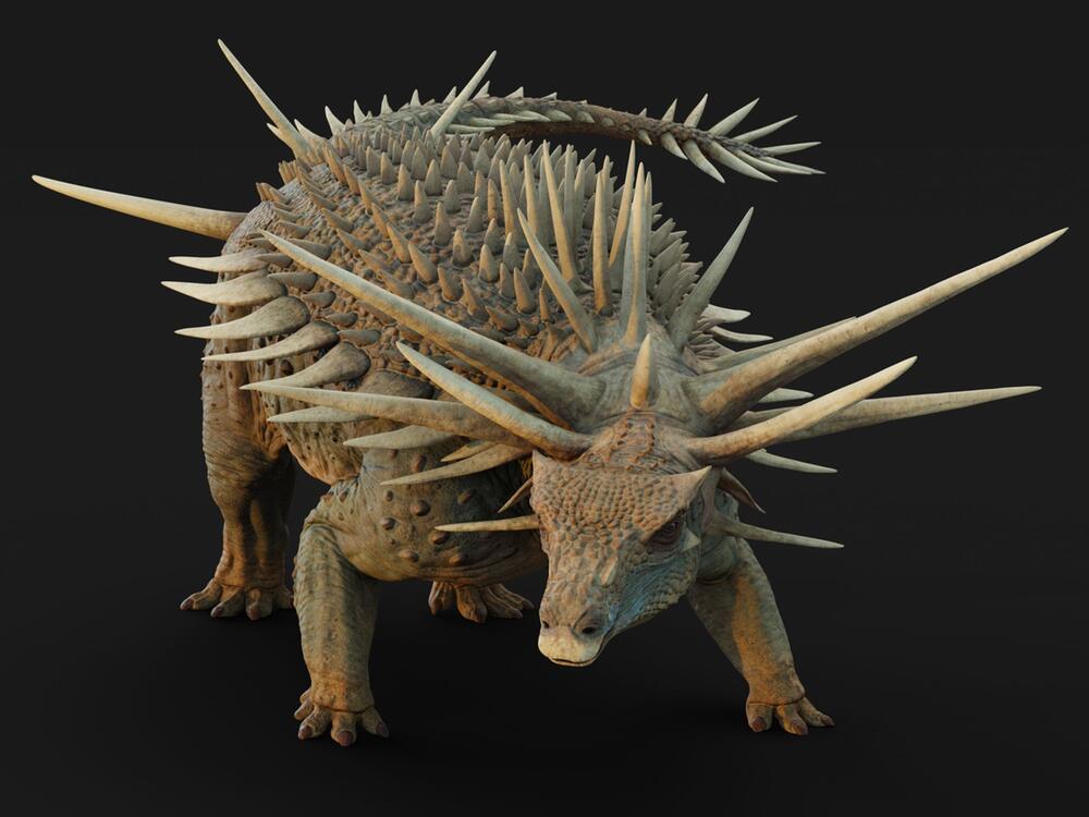 Ankylosaurier Spicomellus afer