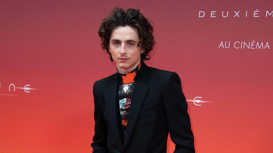 Timothée Chalamet wurde zu Beginn seiner Karriere für seine Figur kritisiert.