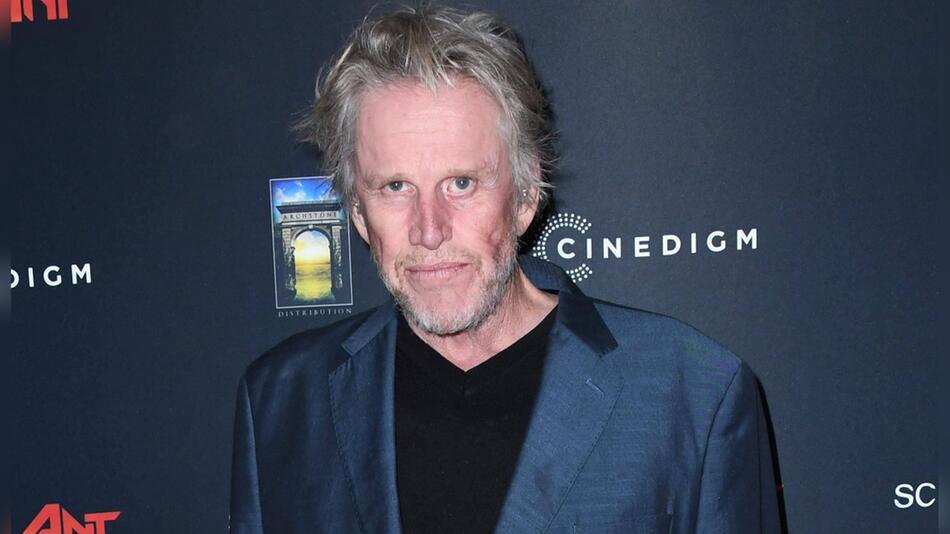 Gary Busey auf einer Aufnahme aus dem Jahr 2019.