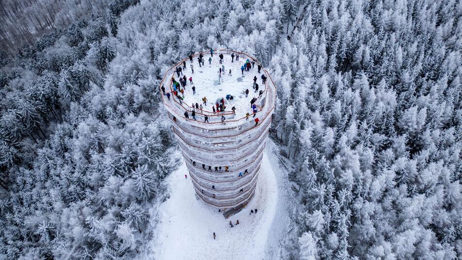 Drohnenbild des Aussichtsturms auf dem Grossen Wildberg