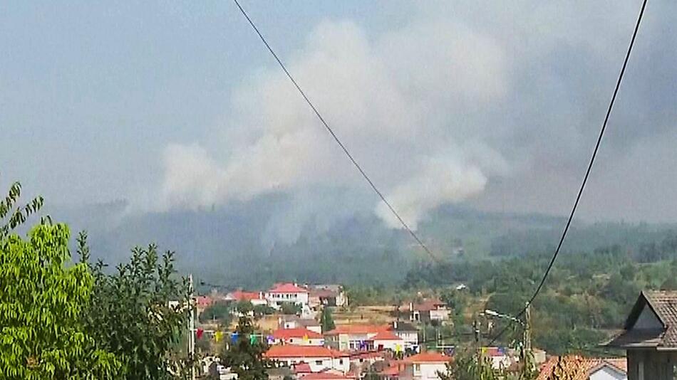 Waldbrand bedroht Wohngebiet in Portugal: Hunderte Feuerwehrleute im Einsatz