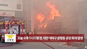 Südkorea: Dutzende Verletzte bei Grossbrand in Autoteilefabrik