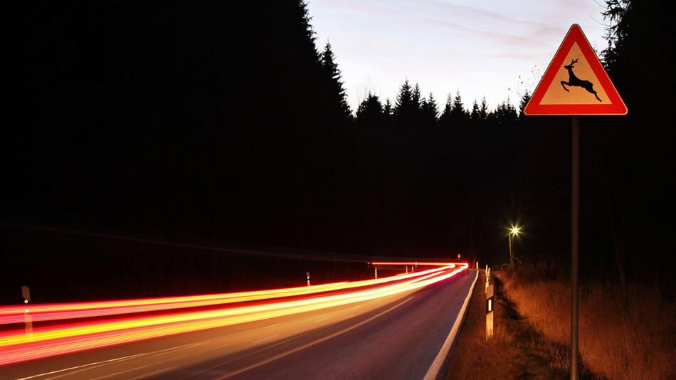 Ein Verkehrsschild warnt vor Wildwechsel an einer Landstrasse