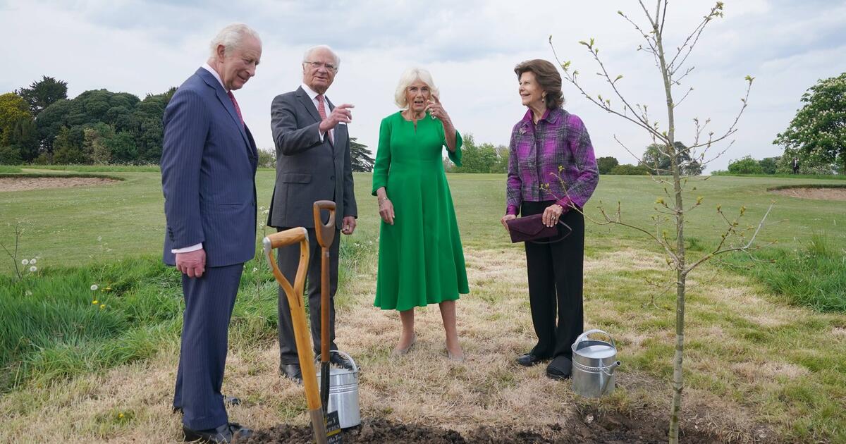 Königliche Gärtner: Charles und Carl Gustaf pflanzen Eiche in Windsor