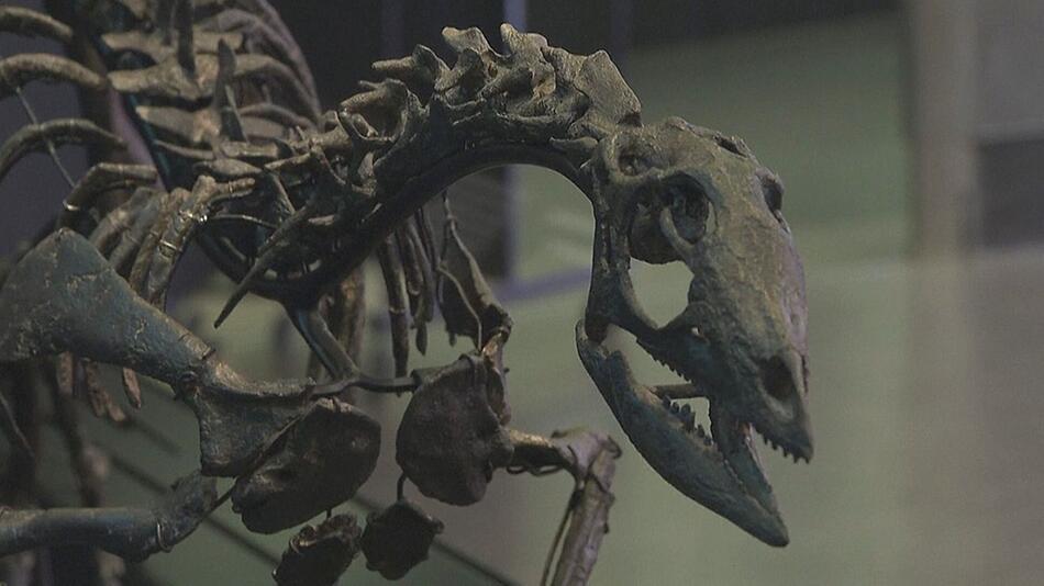 Flinker Pflanzenfresser: Forscher entdecken neue Dino-Art