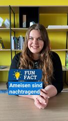 Fun Fact: Ameisen sind nachtragend