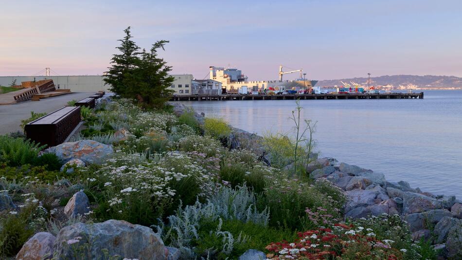 Der neue Bayfront Park in San Francisco