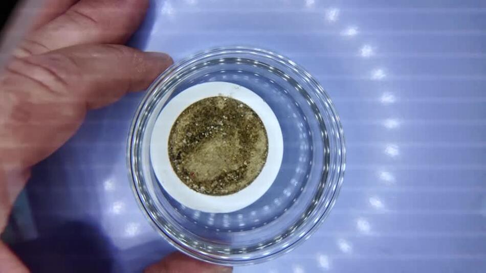 Mikroplastik im Rhein