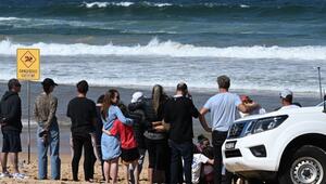 Tödlicher Hai-Angriff in Sydney