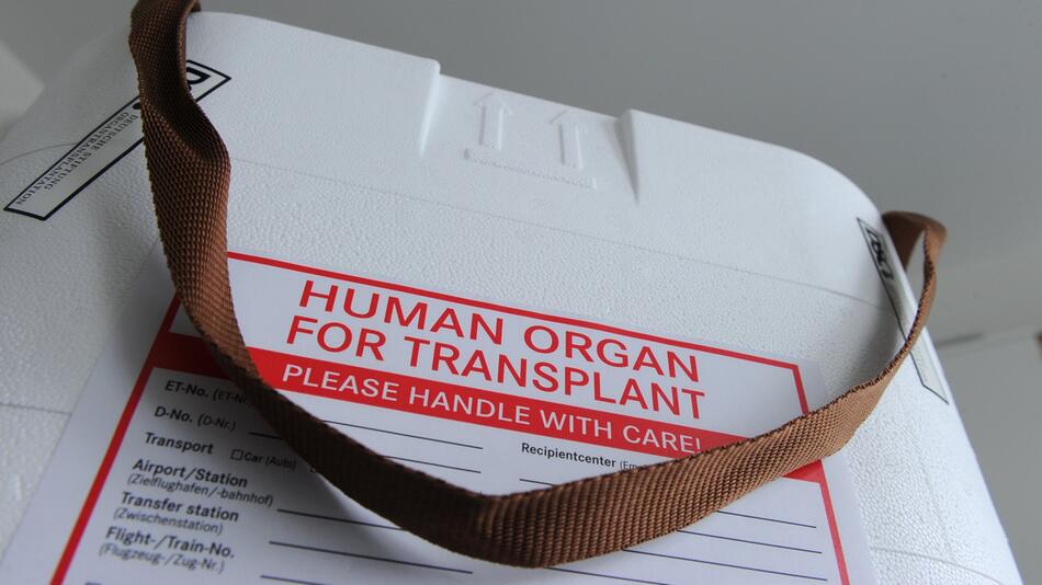 Organspende