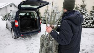 Ein Mann steht mit einem Weihnachtsbaum vor seinem Wagen