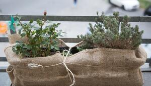 Balkonpflanzen sind in Jute gewickelt
