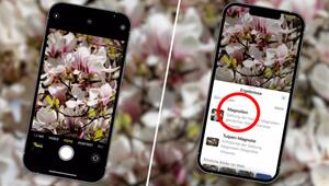 Ganz ohne App: Pflanzen bestimmen mit dem iPhone – so geht es