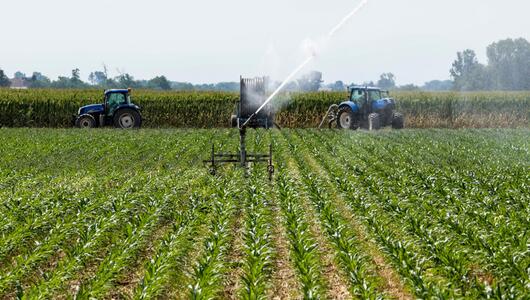 Landwirtschaft in Italien