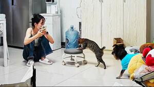 Fürsorglicher Vierbeiner: Katze bringt ihrer Besitzerin einen Hocker