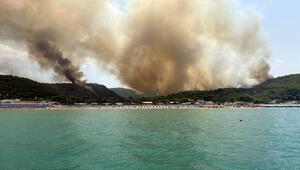 Ein Wald nahe Peschici steht in Flammen