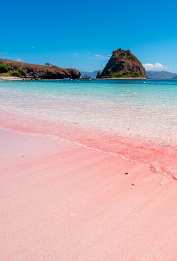 Pink beach Komodo islands in Indonesia