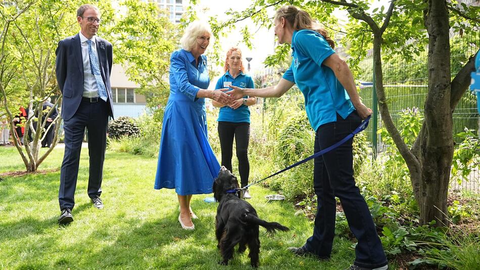 Königin Camilla gilt als grosse Hundefreundin.