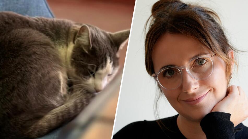 So geht es Anna Heisers Katzen in Namibia