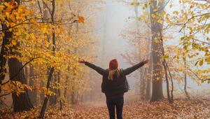 Person im herbstlichen Wald