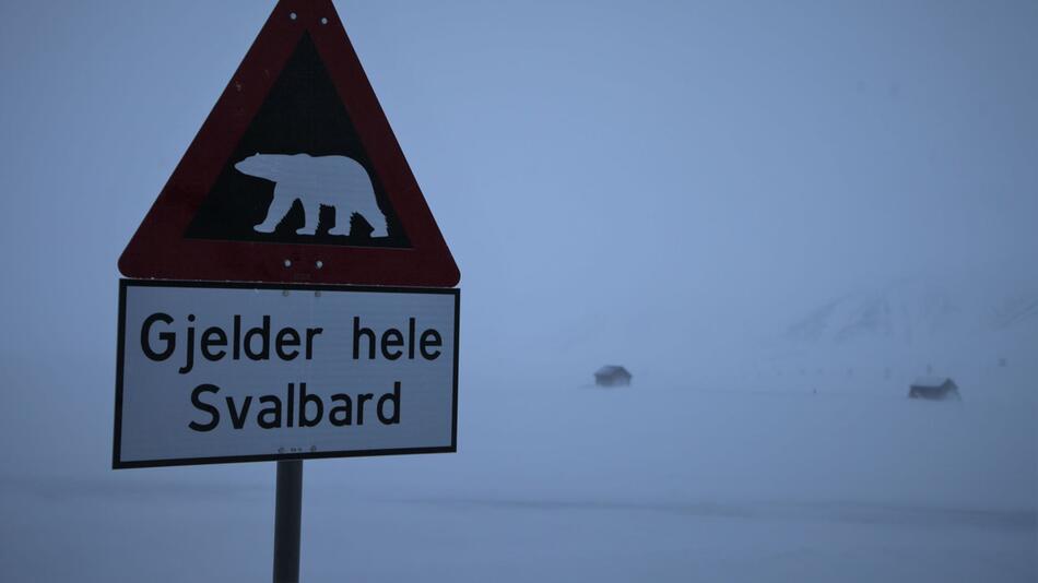Eisbär auf Spitzbergen erschossen
