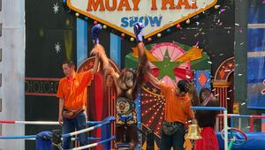 Orang-Utans als Touristenattraktion in Thailand