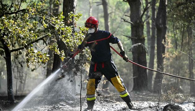 Waldbrand bei Paris