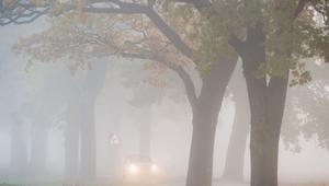 Auto fährt bei Nebel auf einer Landstrasse