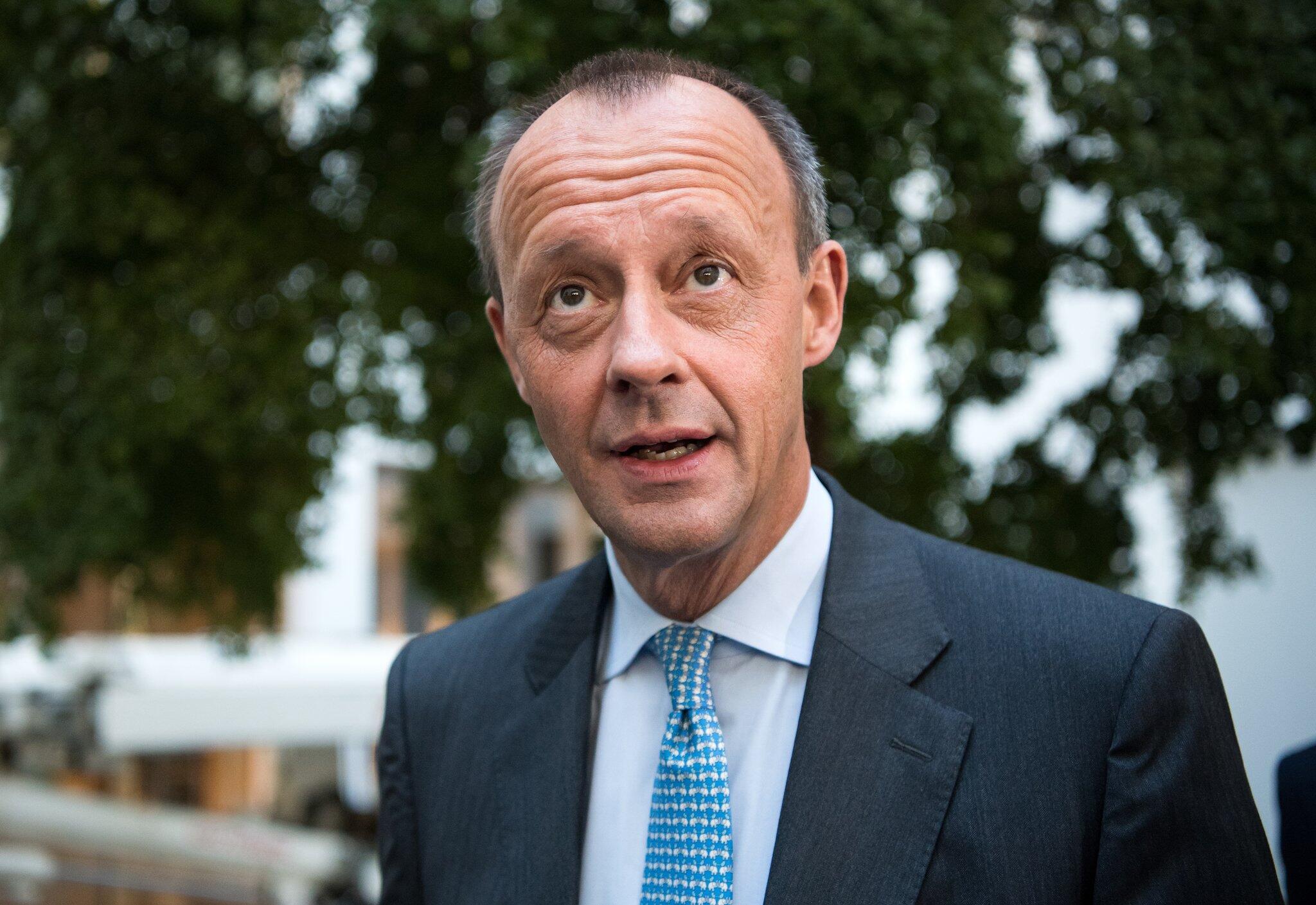 Friedrich Merz - Friedrich Merz, der Aufsichtsrat der Deutschland AG