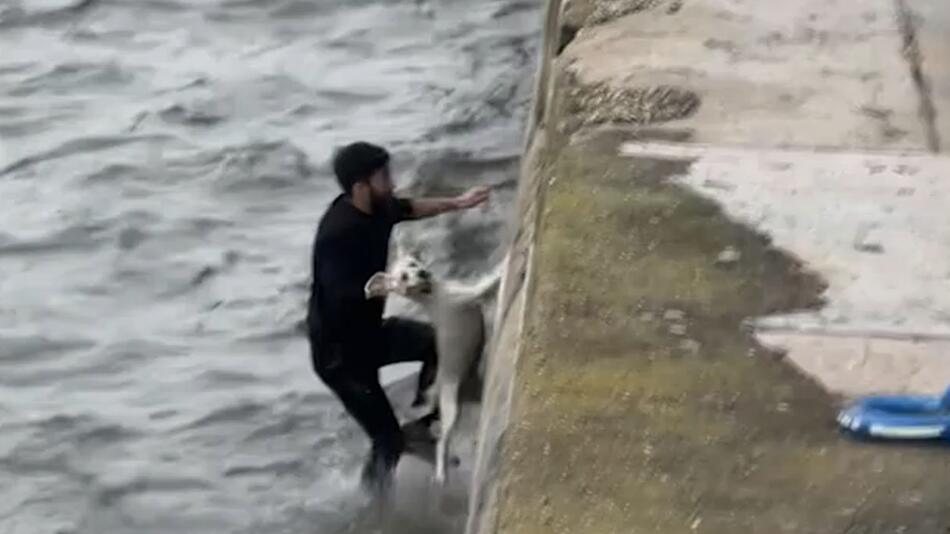 Rettungsaktion für Hund