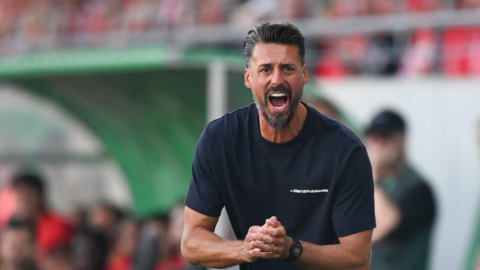 Hallescher FC - FC Augsburg