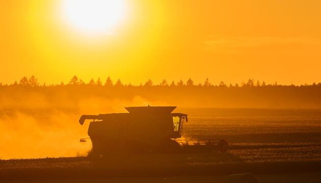 Getreideernte im Sonnenuntergang